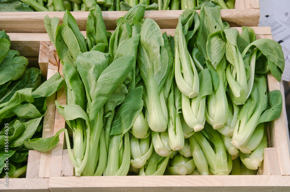 Fototapeta premium Choy sum vegetable on display for sale at a luxurious market