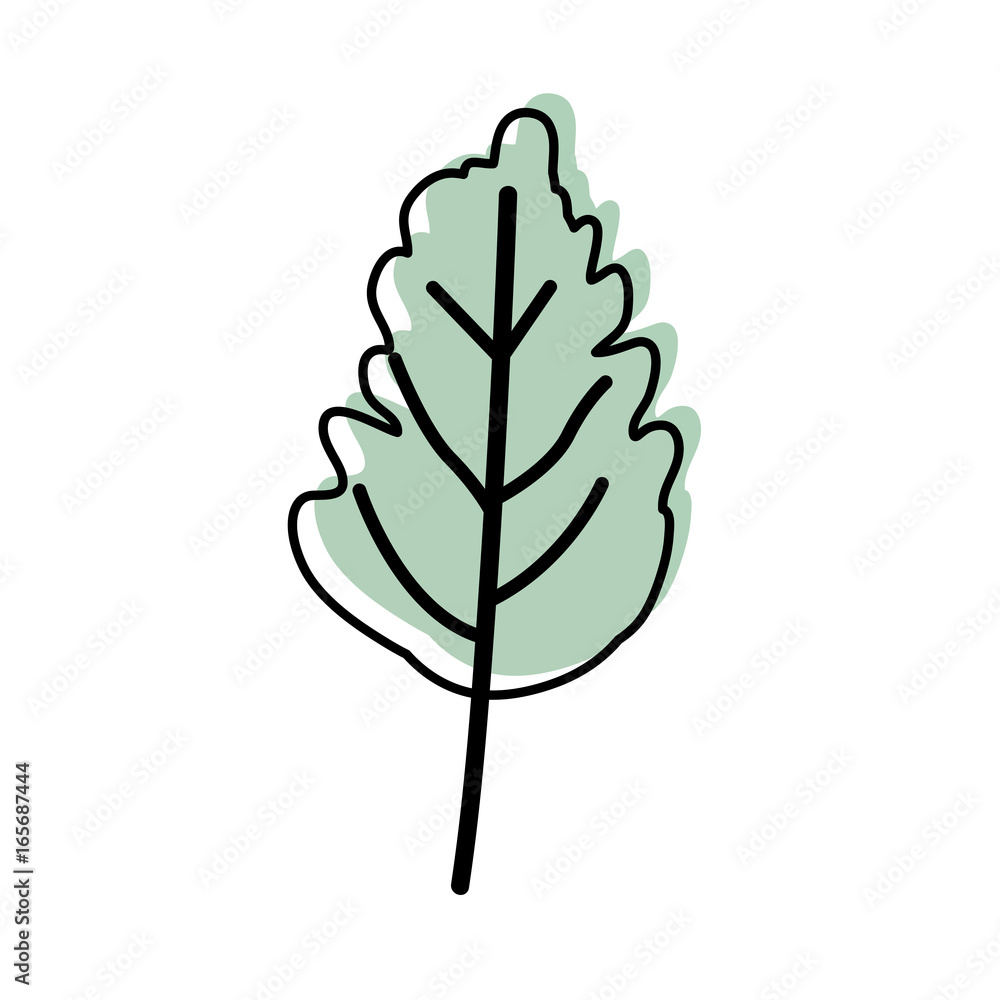 watercolor silhouette of wavy leaf plant watercolor silhouette of wavy leaf plant