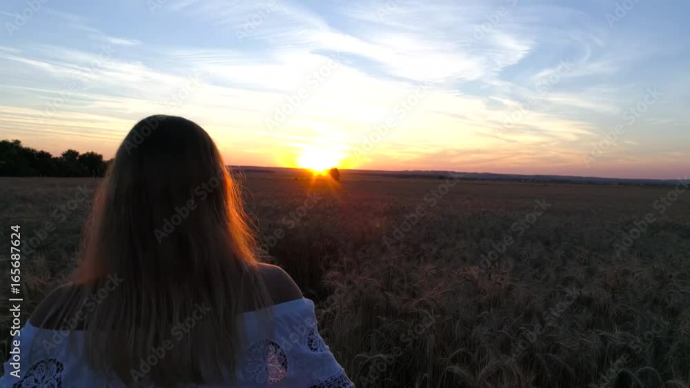 Romantic girl in a white dress walking in the golden wheat fields in the sun Romantic girl in a white dress walking in the golden wheat fields in the sun