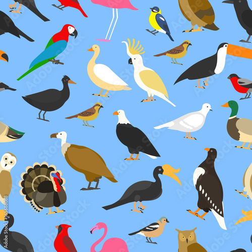 big set of tropical  domestic and other birds  cardinal  flamingo  owls  eagles  bald  sea  parrot  goose. raven. sparrow. chicken. turkey. toco toucan. hornbill. griffon. duck. Seamless pattern.