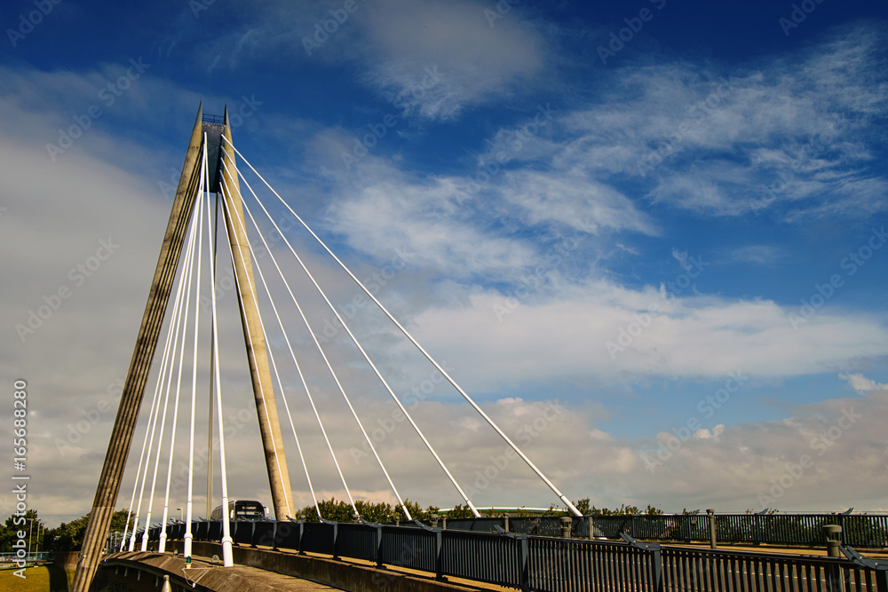 Obraz premium Cable bridge. 