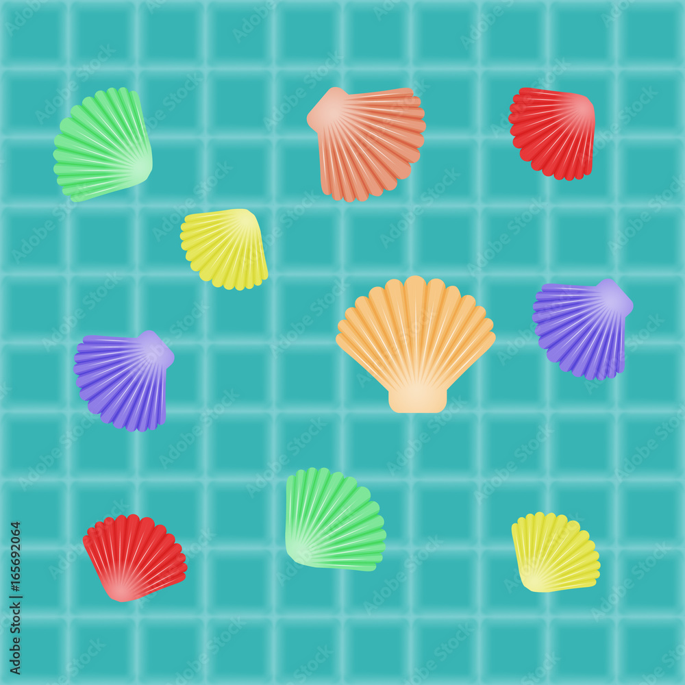 different seashells on water different seashells on water