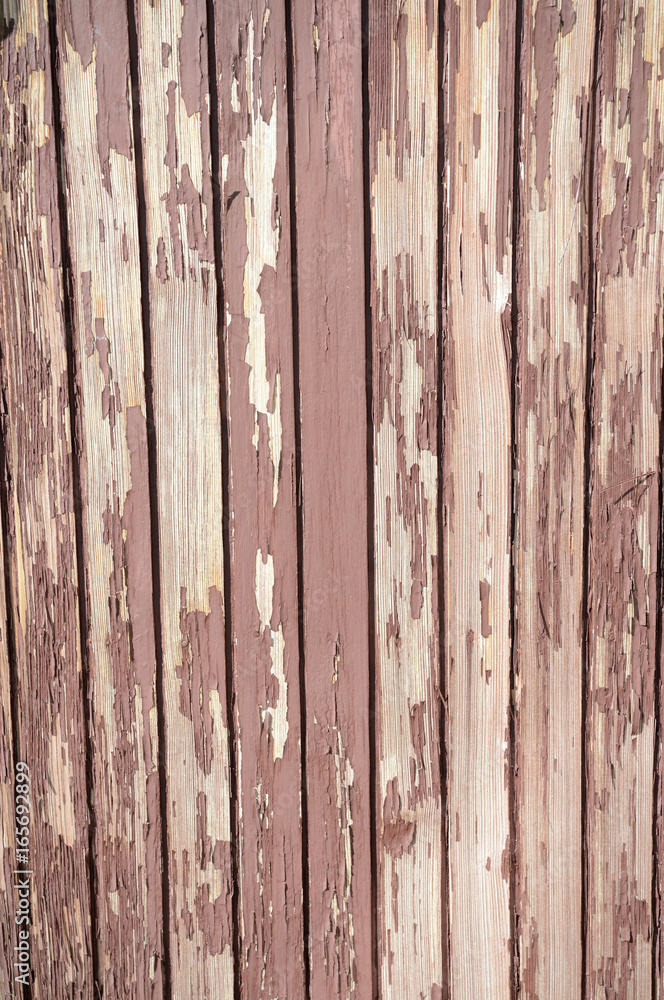 Naklejka premium Grungy wooden texture as a background