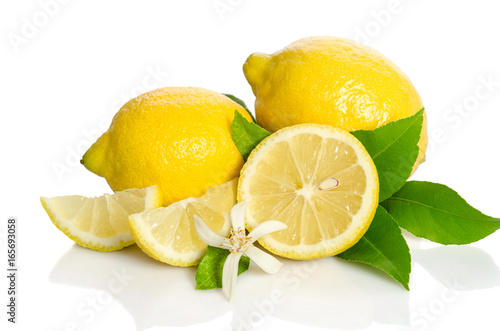 Fototapeta Naklejka Na Ścianę i Meble -  Lemons tree flower and a lemons isolated on white background