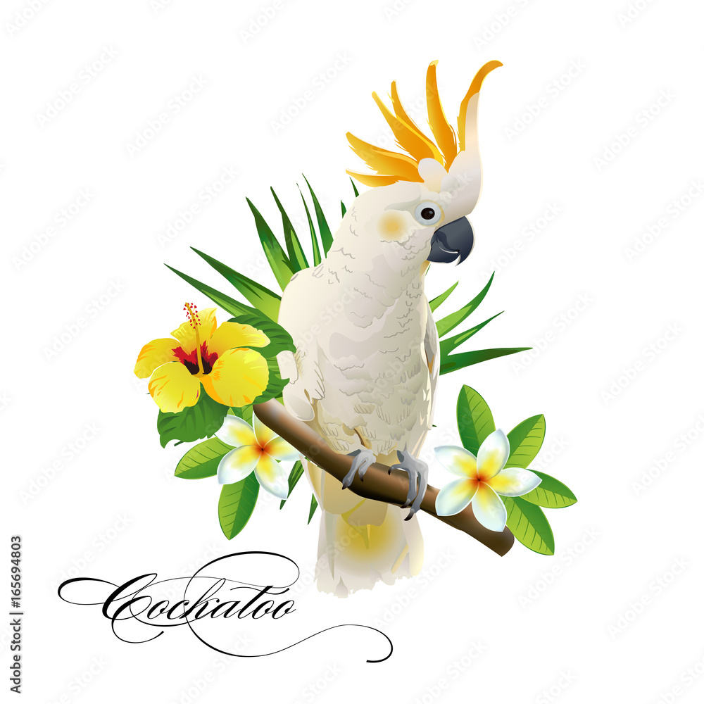 Fototapeta premium Papuga Kakadu na tropikalnych gałęziach z liśćmi i kwiatami na białym tle. Ilustracji wektorowych.
