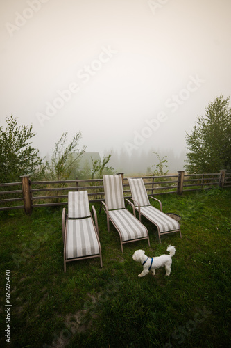 Wooden fence