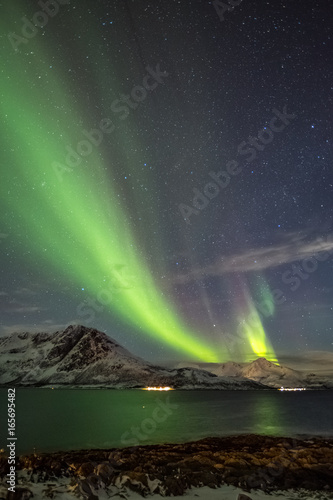 Aurora Borealis in Tromso  Norway in front of Norwegian fjord at winter