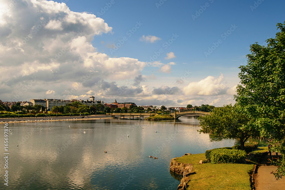 Fototapeta premium River and bridge. Urban landscape