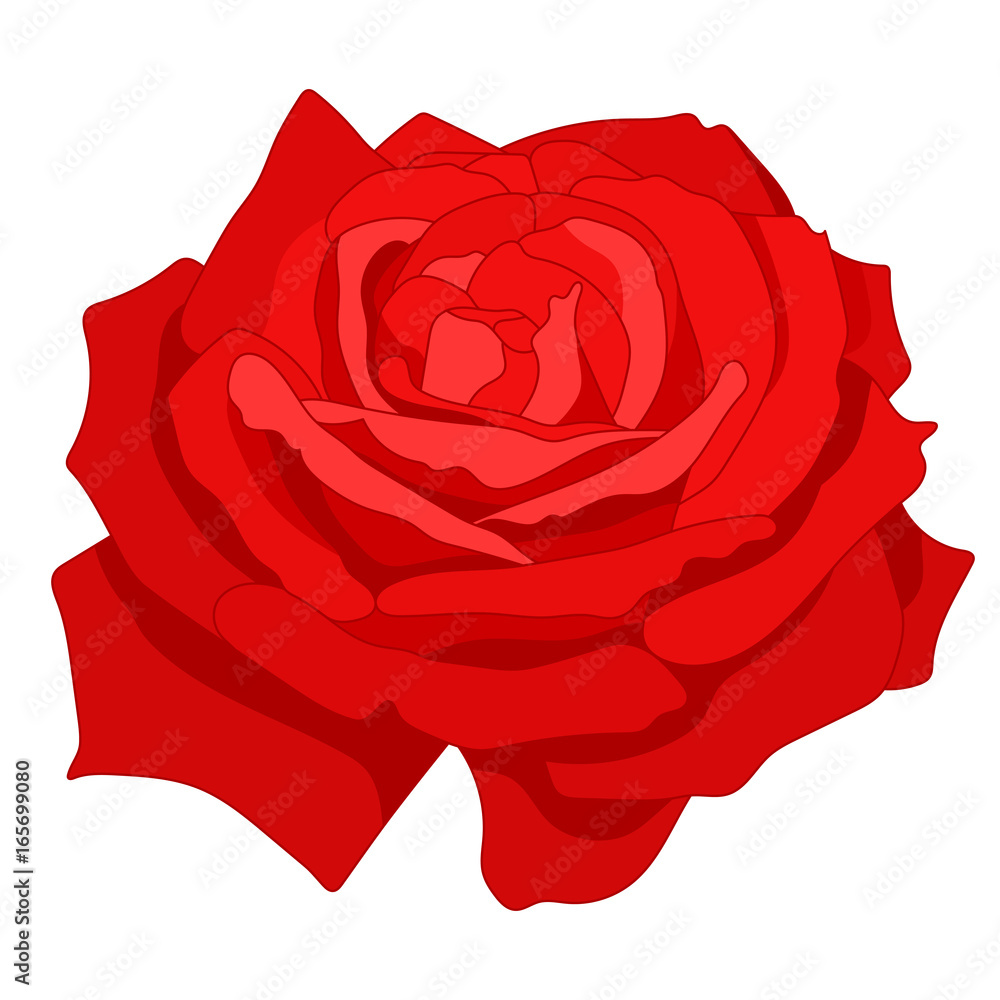 Cartoon rose flower Cartoon rose flower