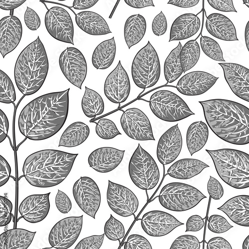 Seamless pattern of beautiful grey birch, honeysuckle leaves, twig, branches, sketch style vector illustration on white background. Hand drawn honeysuckle twig seamless pattern