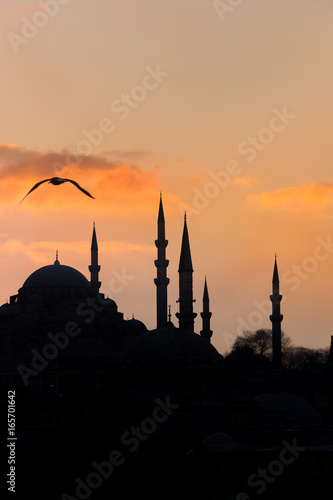 ISTANBUL/TURKEY- DECEMBER 24,2016: The New Mosque (Yeni Camii). The New Mosque is an Ottoman imperial mosque completed in 1665, located in Istanbul, Turkey