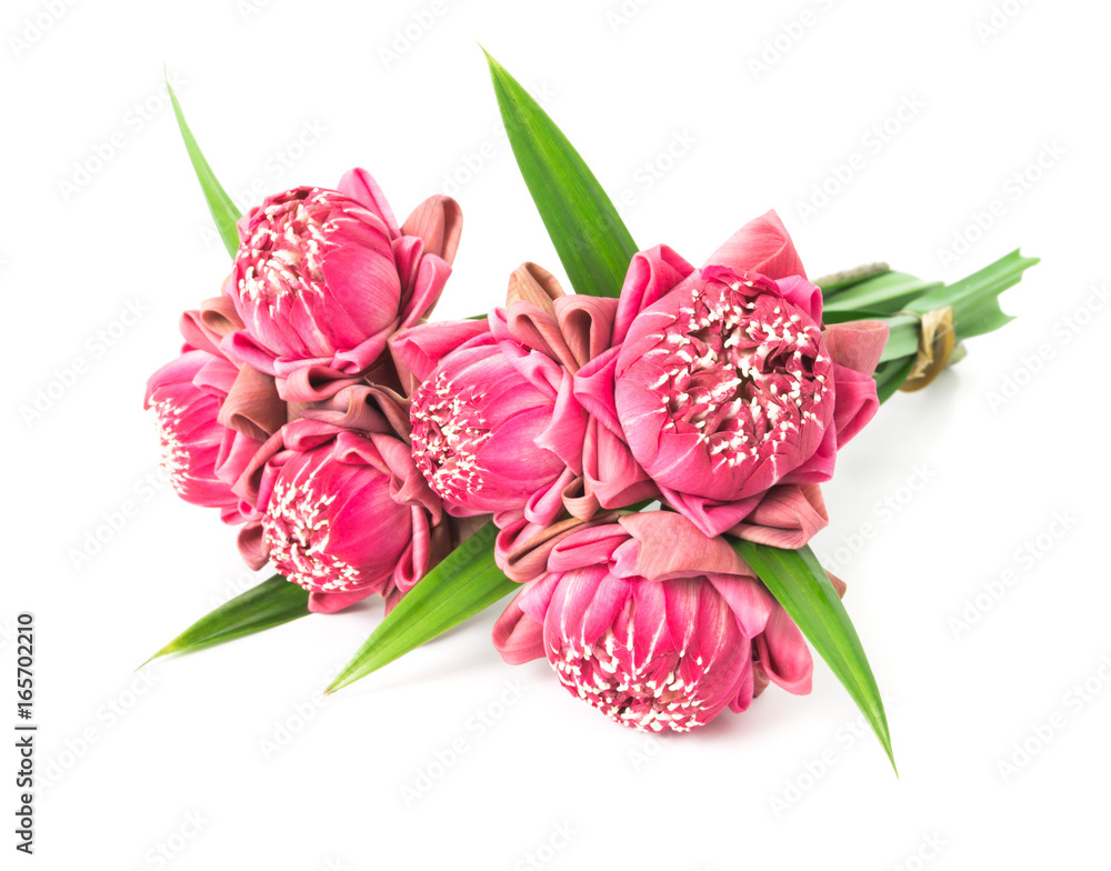 Buddhist pink Lotus Flower offerings to gods Buddhist pink Lotus Flower offerings to gods