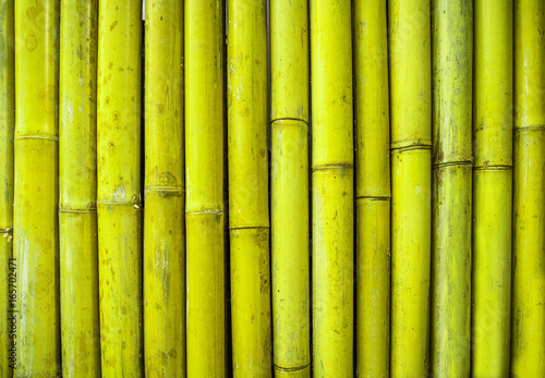 Fototapeta Naklejka Na Ścianę i Meble -  Green bamboo fence texture background