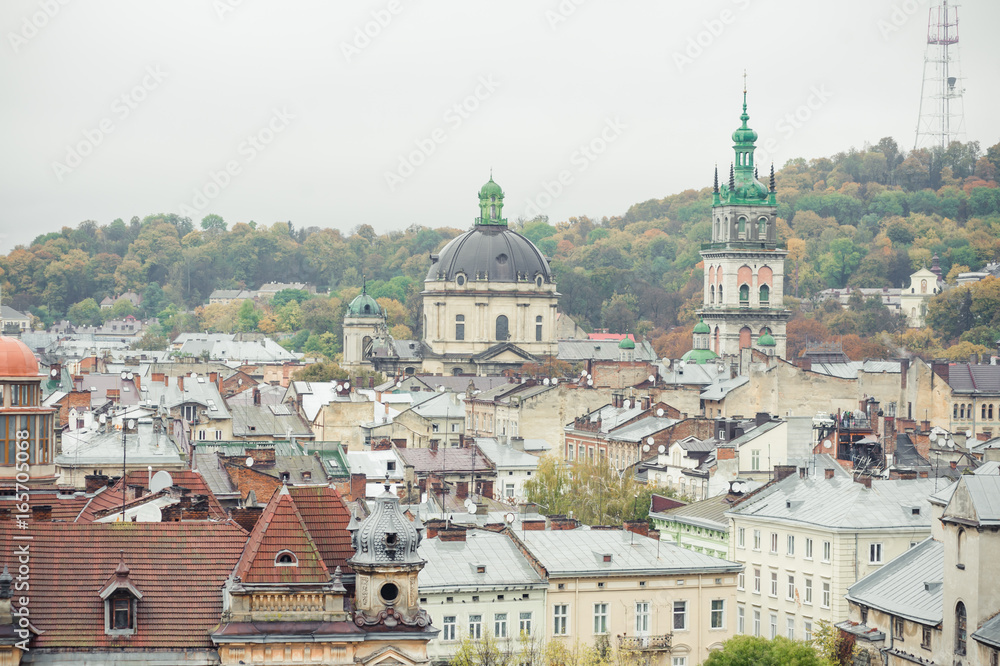 Lviv panorama