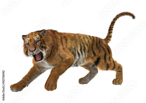 Fototapeta Naklejka Na Ścianę i Meble -  3D Rendering Big Cat Tiger on White