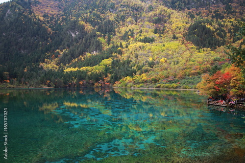 Autumn forest, Deep Fall Colors, Jiuzhai Valley National Park, China
