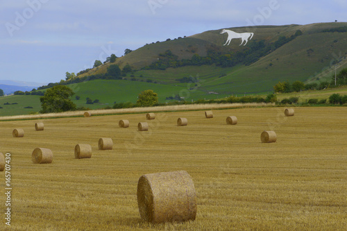 Westbury White Horse.Wiltshire,England photo