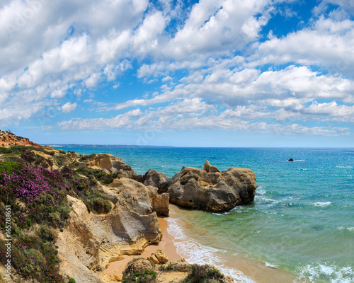 Atlantic blossoming coast (Algarve, Portugal).
