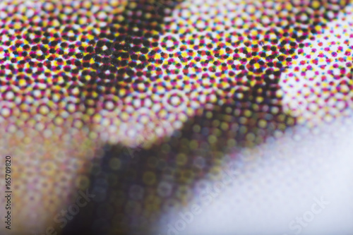 Macro photography Ink print dots