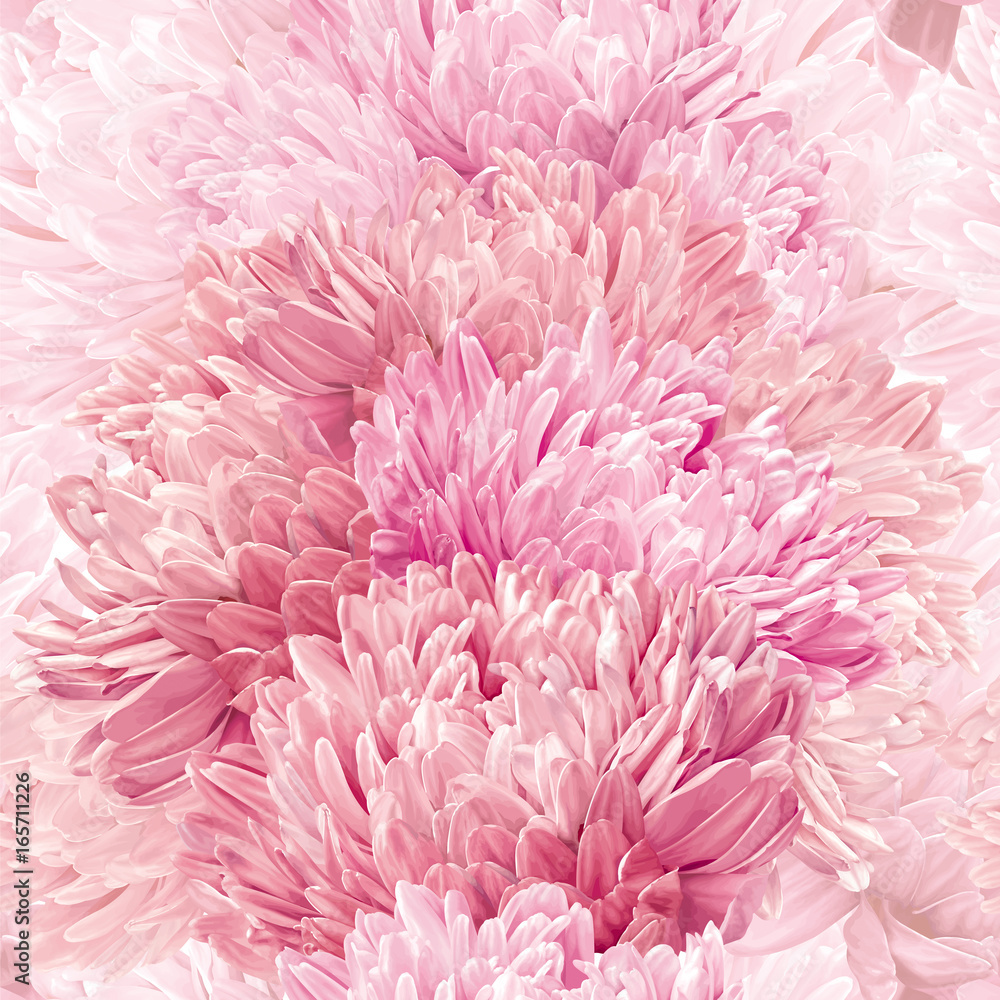 Asters and Chrysanthemum seamless vector background pattern Asters and Chrysanthemum seamless vector background pattern