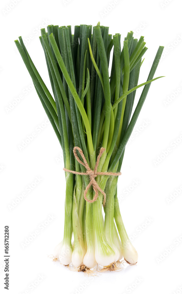 Green onion isolated on the white background Green onion isolated on the white background