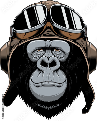 Monkey in helmet pilot.