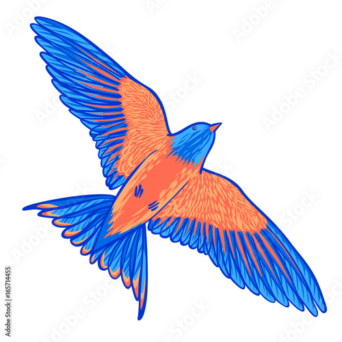 Blue tropical bird on a white background. bird of paradise. Hand drawn brush stroke elements.