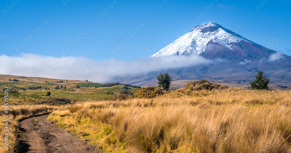 Fototapeta premium VOLCÁN COTOPAXI