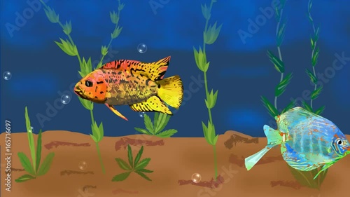 Animated aquarium with colorful tropical fish and plants, rising air bubbles. Seamless loopable video animation