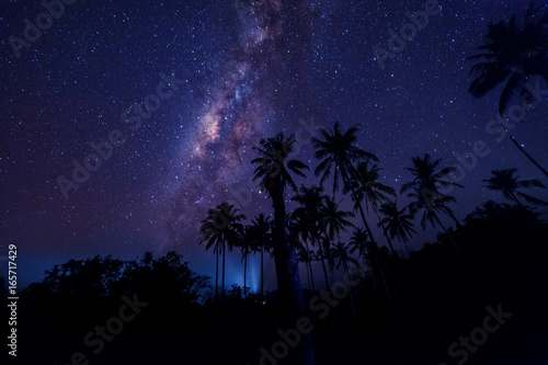 Milky way galaxy rise above coconut trees. Image contain visible noise due to high iso. soft focus due to wide aperture and long expose.