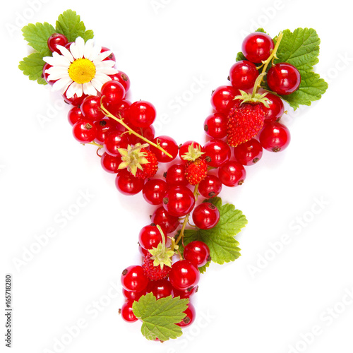 Letter Y English alphabet in the form of a pattern of red currant berries and white flowers and leaves on a white background
