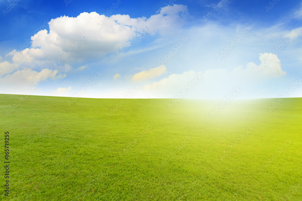 Beautiful landscape of Green meadow under blue sky with white clouds Beautiful landscape of Green meadow under blue sky with white clouds