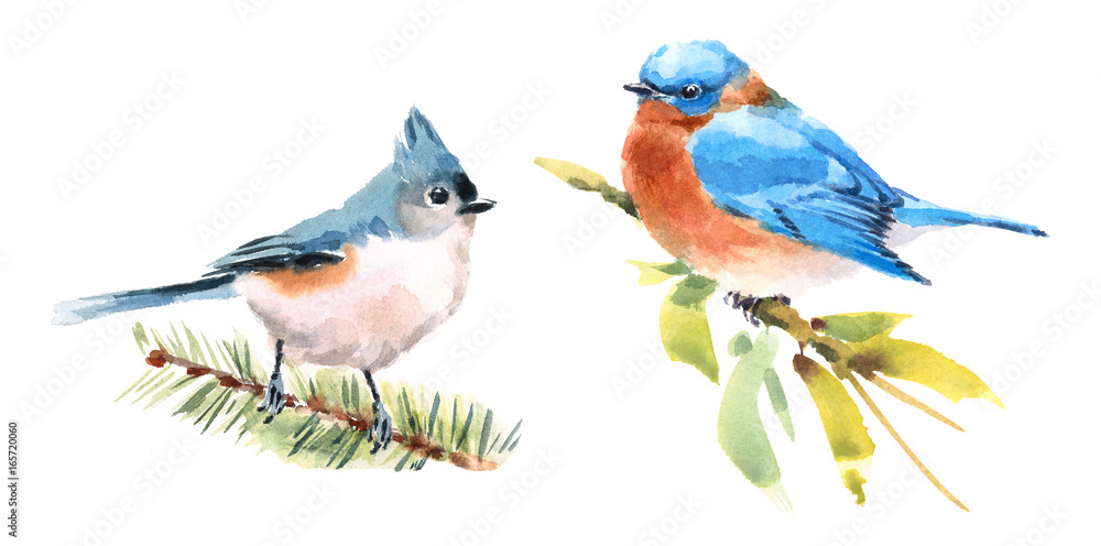 Photography Poster Titmouse and Bluebird Two Birds Watercolor Hand