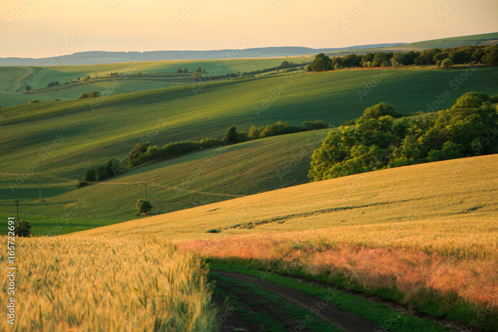 Moravian Tuscany landscape in the afternoon sun Moravian Tuscany landscape in the afternoon sun