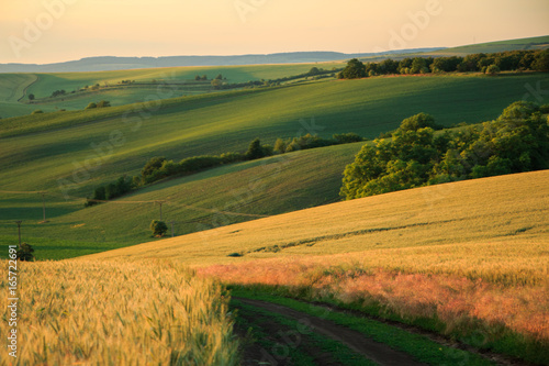 Moravian Tuscany landscape in the afternoon sun