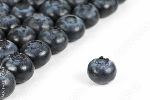 fresh blueberries isolated on white background