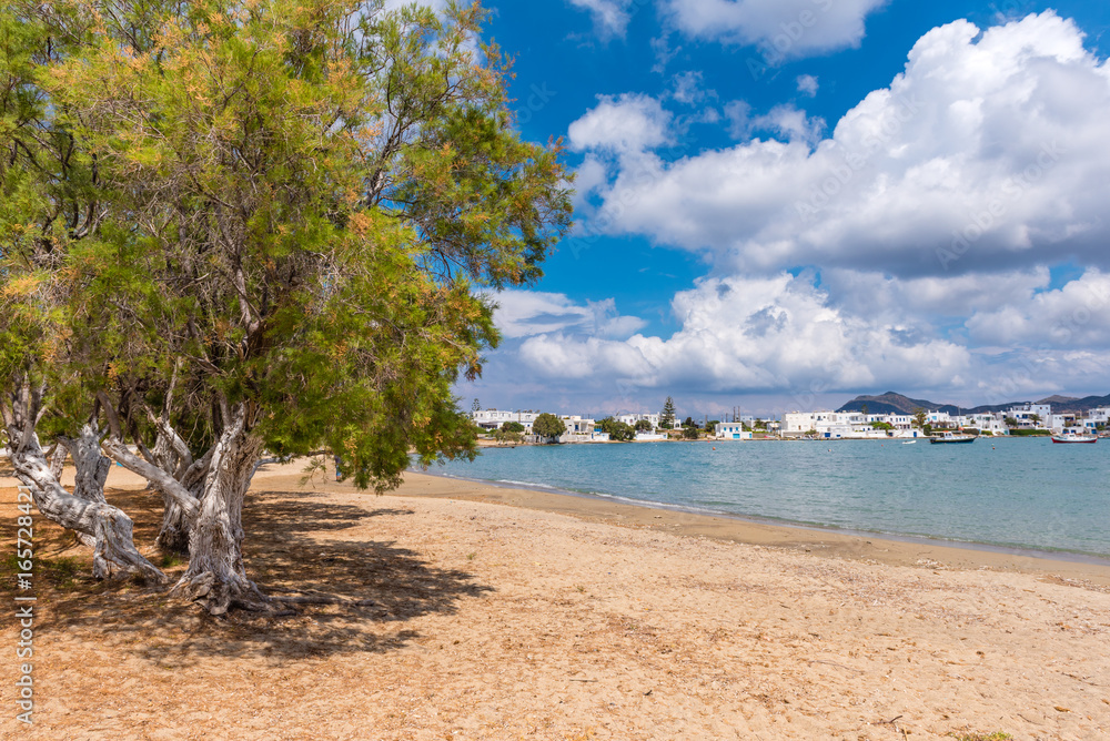 Trees on a sandy beach with crystal sea water in Pollonia village on Milos island. Cyclades, Greece.