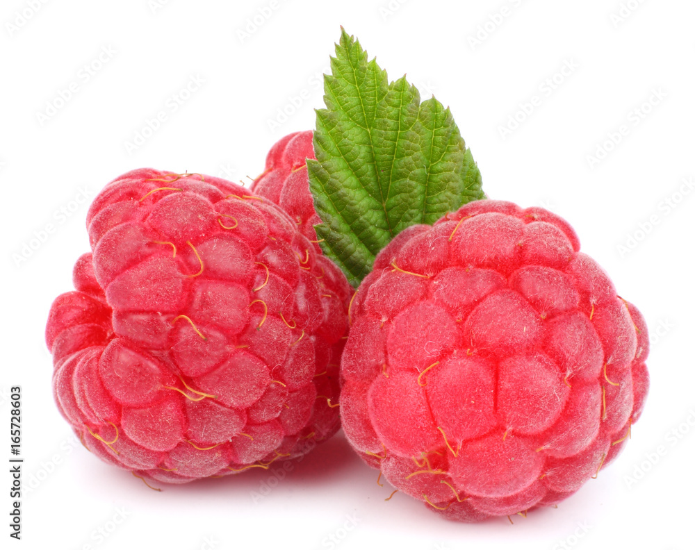 ripe raspberries with green leaf isolated on white background macro ripe raspberries with green leaf isolated on white background macro