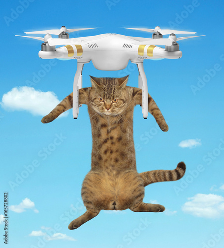 The cat flies on a drone in the sky.