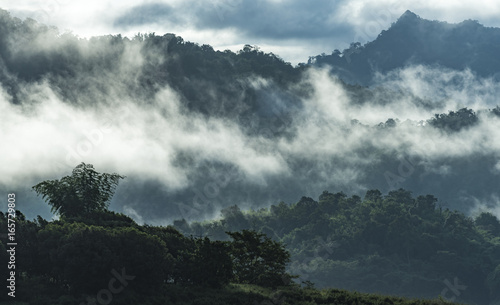 landscape green mountains layers, tropical zone