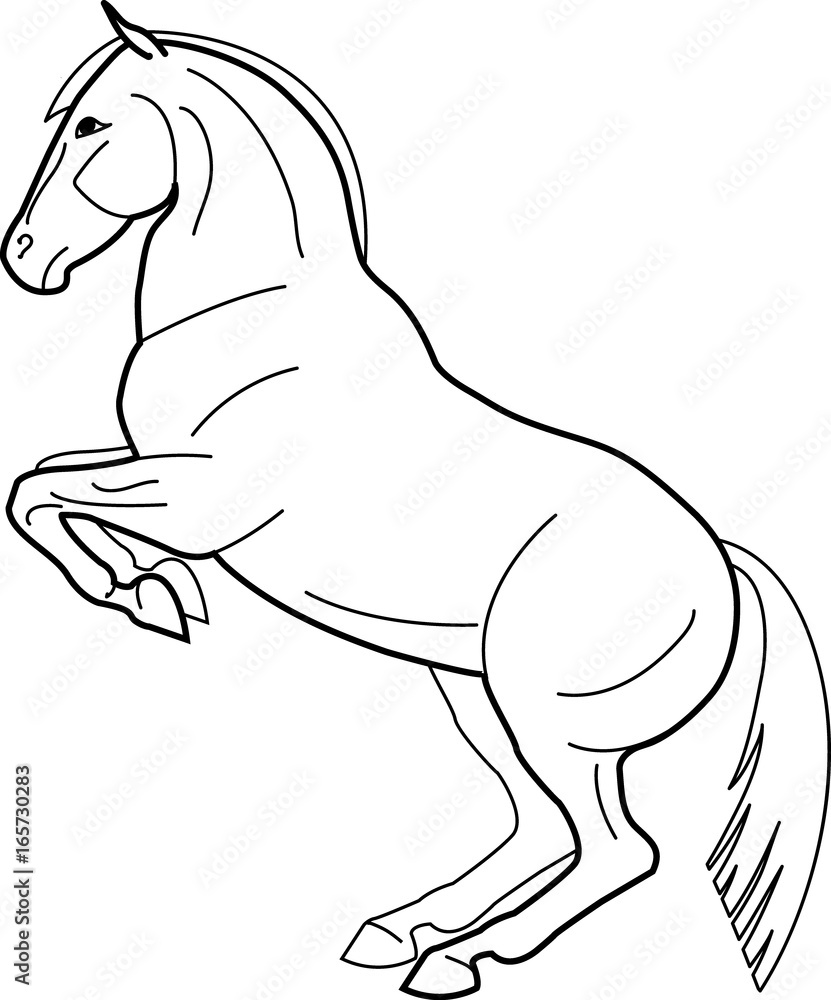 Obraz premium Sketch of a horse making the pesade.