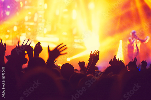  Jubelnde Menge bei einem Konzert © Thaut Images