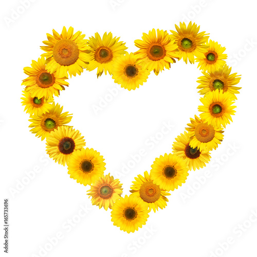 Fototapeta Naklejka Na Ścianę i Meble -  Wunderschöne Sonnenblume mit Form eines Herzens