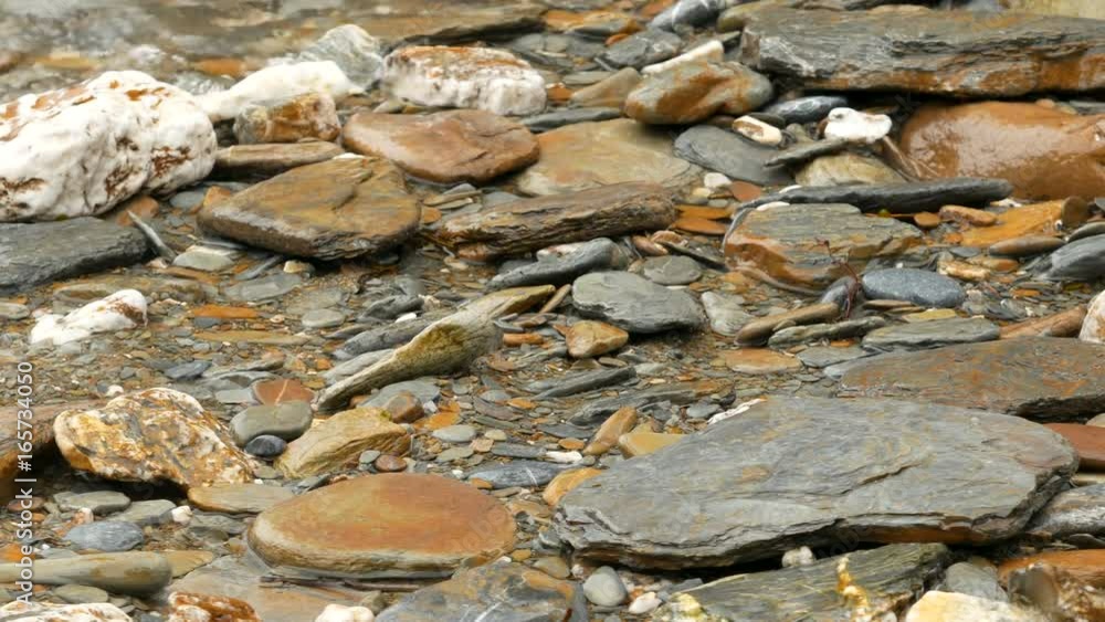 Slowly panning over flat rocks on a beach with the tide washing over them Slowly panning over flat rocks on a beach with the tide washing over them