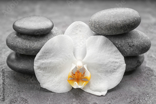 Beautiful white orchid with stones on grey background