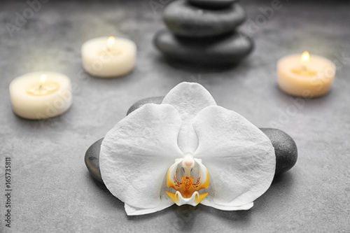 Composition with beautiful white orchid with stones on grey background