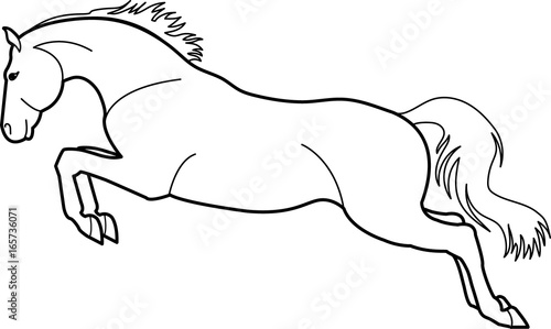 Sketch of a jumping horse.