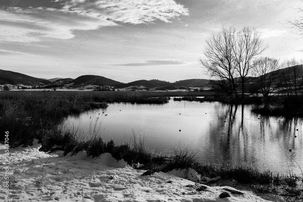 Fototapeta premium A lake shore in winter with snow, trees reflecting on water and a beautiful sky with white clouds