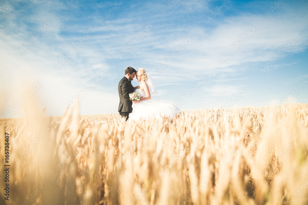 Beautiful wedding couple, bride and groom posing on wheat field with blue sky Beautiful wedding couple, bride and groom posing on wheat field with blue sky