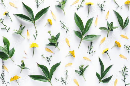 Pattern With Green Leaves And Yellow Flowers